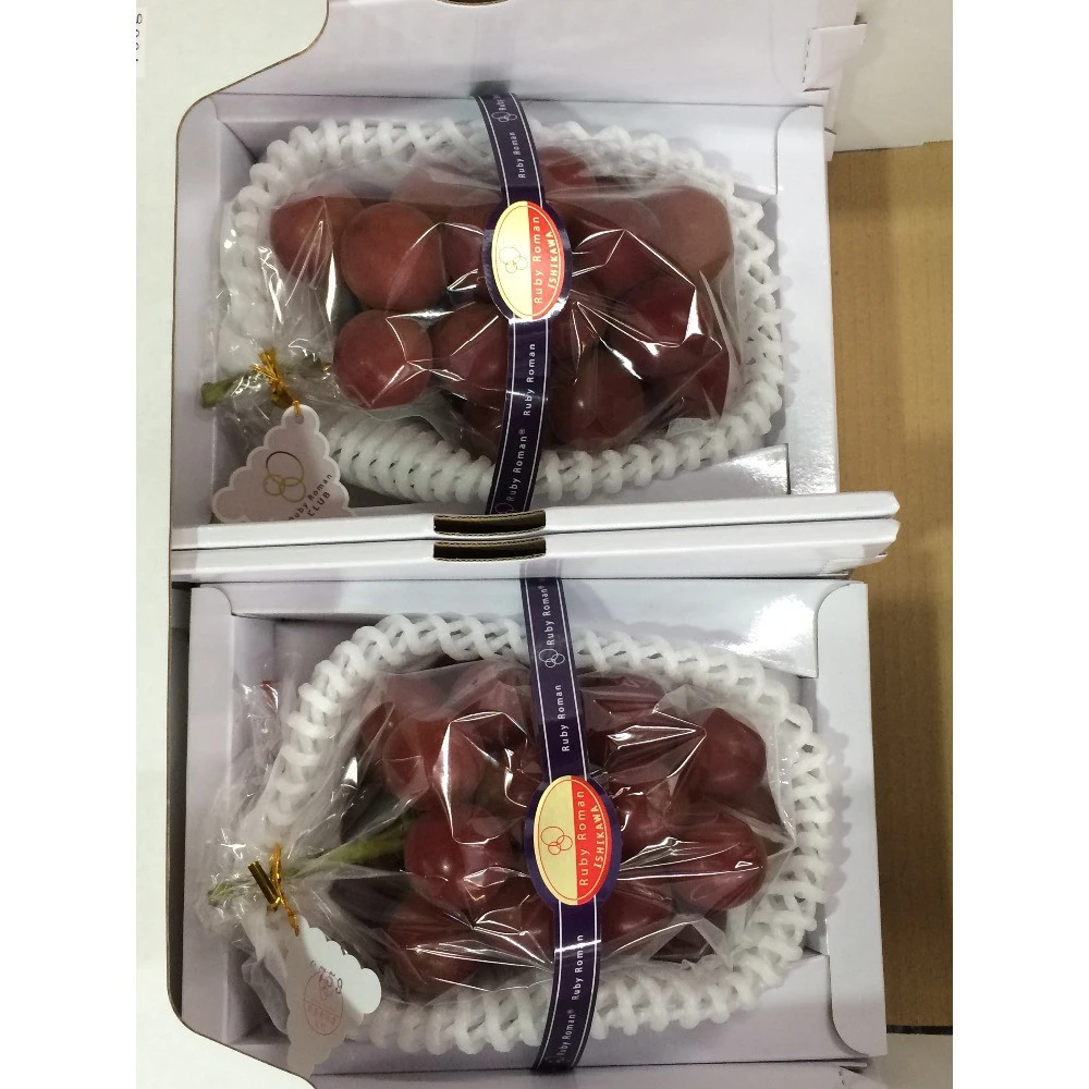 Japan Supplier Delicious Sweet Cheap Price Fresh Grapes for Sale