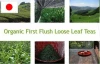 JAS Organic &quot;SENCHA Okumidori&quot; GREEN TEA : Organic Fist Flush Loose Leaf Teas made in Japan