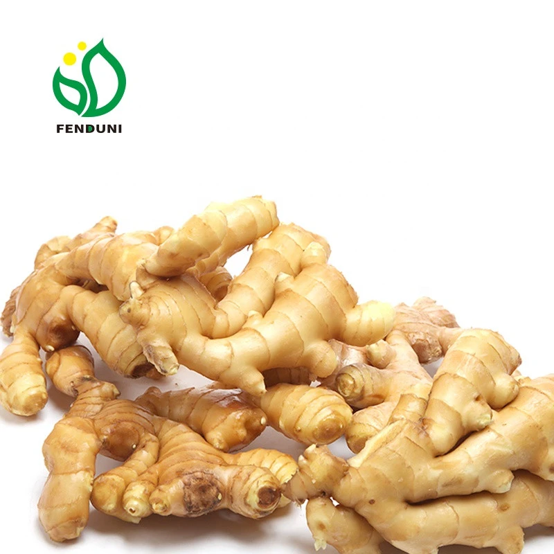LaiWu/Anqiu supply fresh ginger