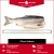 Import Least Price Russian Frozen Chum Salmon Fish from Russia