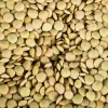 Lentils Red Lentils Brown Lentils Best Quality Green OEM Bulk Style Packaging Weight Shelf Origin Type Life Dried Product Place