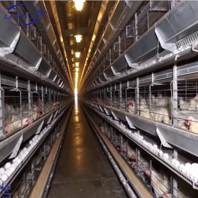 Buy Leon Series Poultry Cage System With Whole Equipment For Livestock ...