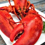 Live Canadian Lobsters | Frozen Lobster Tails |Lobster Meat