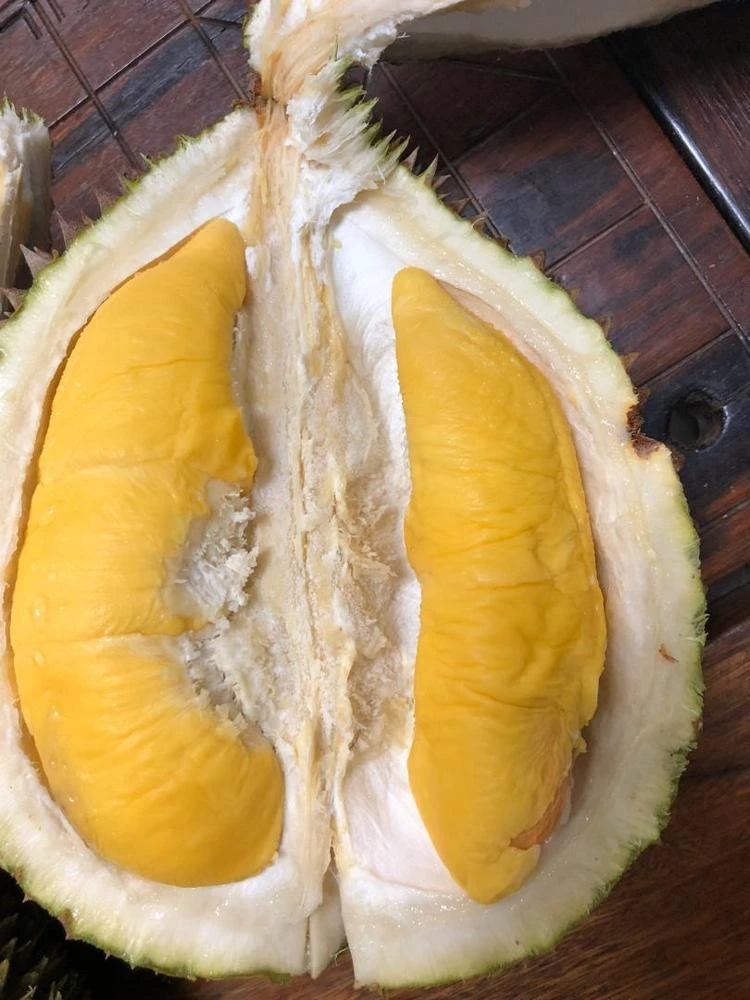 Malaysian Fruit King Golden Mao San Wang Quick Nitrogen Frozen Whole Durian