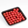 Map Disposable Meat Pp Blister Frozen Fruit Black Plastic Food Tray