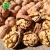 Massive Walnut Halves Manufacturer Dry Fruit Price Of Walnuts