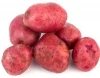 Mexico Grown POTATO Vegetables RED Potato Robinson Fresh MOQ 50 LBS Quick Delivery in US
