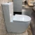 Modern 2020 Factory Supply Back To Wall WC Bathroom Ceramic Two Piece toilets seat