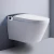 Import Modern bathroom items hanging electronic toilet bidet intelligent toilet wc inodoros wall hung smart toilet with concealed tank from China