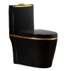 Modern Simple Black Gold Bathroom Ceramic Washdown One Piece WC p-trap/s-trap Color Toilet Bowl