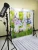 Import Muslin Seamless Portable Collapsible Easter Backdrop Studio Background from China