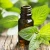 Import Natural Peppermint Essential Oil for Food Additives from China
