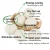 Import Naturally Organic Sheep felt tumble eco laundry wool felt balls Natural and Unscented from China