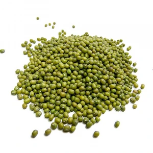 New Crop Green Mung Bean Green Gram and Moong Dal for Sale