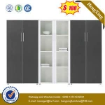 New Design High Quality Hot Sale Storage Cabinet Bookcase Shelf 2 Door File Cabinet HX-FL004