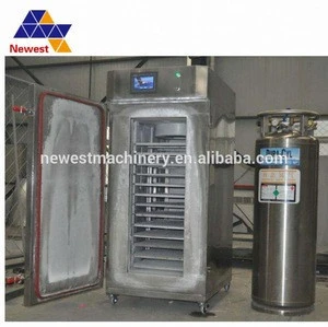 New design liquid nitrogen instant refrigerator/industrial liquid nitrogen freezer