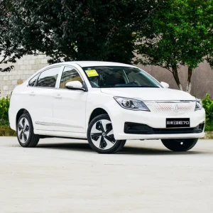 New Energy Vehicle Dongfeng Fengxing Fengshen Xiaokang Fengguang E70 s60 s50 m5 T1 T5 E1 ev For Adults Large Size