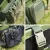 Import New Green Plastic Fishing Tackle Seat Box Bag from China