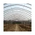 Import New Listing Large Operation And Practicality Can Be Customized Green House Agriculture from China
