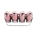 New model Hot selling wholesale fancy design custom Stainless Steel Spice jar bottle sets with metal holder