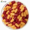new product hmpc empty capsule for cold medicine
