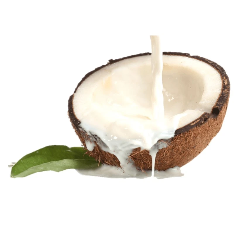 NON ADDITIVES ,Additives Free Indonesia Origin Vegan UHT Coconut Milk