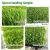 OC-200M Automatic Hydroponic Green Fodder Mung Bean Sprout Growing Machine