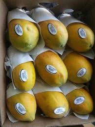 Organic Certified Papaya made in Thailand
