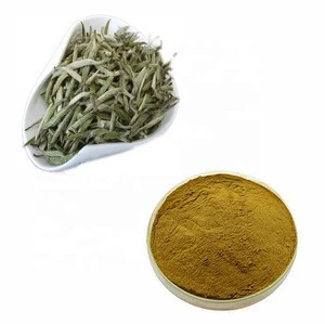 Organic Silver Needle White Tea with Favorable Price
