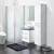 Import other royo bathroom furniture bathroom sink furniture from China
