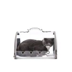 Panoramic Laser transparent breathable portable cat and dog pet travel carrying backpack