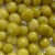 Import Best Grade Preserved Pickled Peas in Salt Water from China