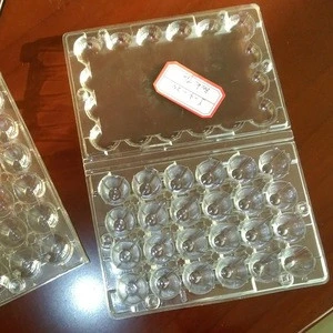 plastic quail egg carton box