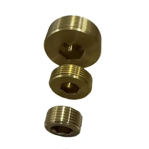 Pneumatic parts stainless steel SUS 304 316 brass copper PT NPT inner hexagon external thread pipe fitting plug cap for sale