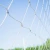 Import PP PE plastic netting for cat safety net for cat screen balcony safety net for cat from Hong Kong