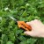 Import Precision Straight Blade Pruner Garden Scissor with high quality for sale from China