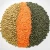 Import Premium Grade Split Red Lentils For Export in Bulk from Ukraine