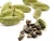 Import PREMIUM  QUALITY 100% PURE CARDAMOM HYDROSOL FOR COSMETIC USE from India