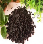 Premium Quality Urea 46% Nitrogen Fertilizer