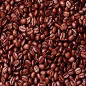 Premium Quality Wholesale Dried Cocoa Beans