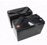 Professional factory OEM/ODM high quality li-ion lithium battery 24v lithium ion battery pack 24v lithium ion battery