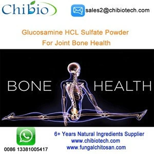 Pure Glucosamine Chondroitin MSM Sulfate Powder for Joint Bone Health