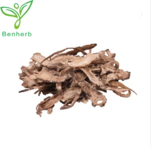Pure natural Chinese herb plant Angelica Extrat