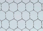 PVC Coated Hexagonal Iron Wire Netting Chicken Mesh Green