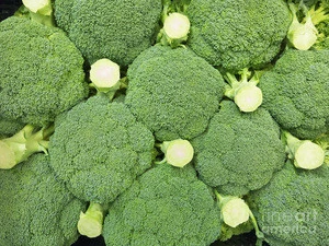 Quality Fresh Broccoli