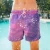Import Quick Dry Swimwear Shorts Mens Swim Trunks Color Changing Beachwear from China