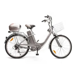 RaiderCity08T 12Ah/36v/250W/350W Contest Bike - rowery elektryczne i skutery w najlepszych cenach! Electric city bike