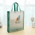 Import Real estate corporate standard size shopping promotional non woven recycle bag from China
