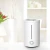 Import Rechargeable Electric Diffuser Portable Defuser Room Purifier Humidifier from China