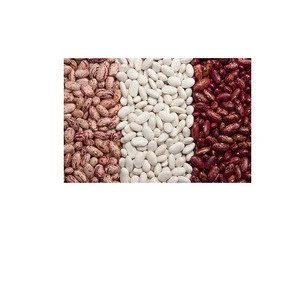 Red and white kidney beans